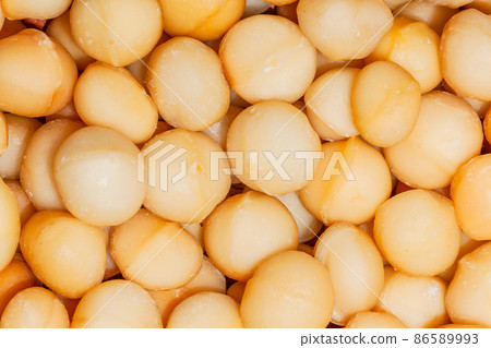 Macdamia Nuts Food Protein Close-Up 86589993