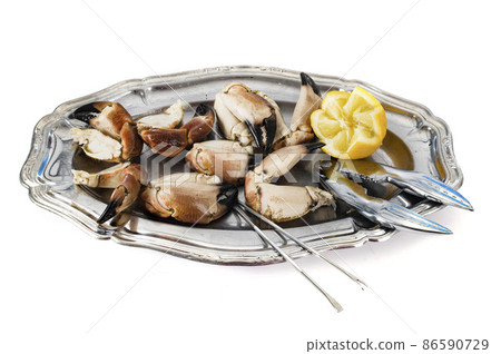 crab pliers in studio 86590729