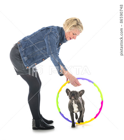 french bulldog and woman in studio 86590748
