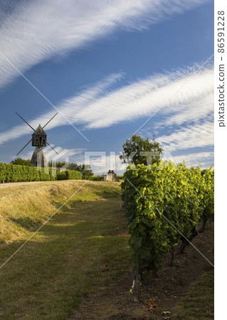 Windmill of La Tranchee and vineyard near Montsoreau, Pays de la Loire, France Windmill of La Tranchee and vineyard near Montsoreau, Pays de la Loire, France 86591228