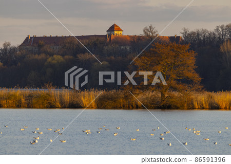 Jaroslavice castle with pond, Znojmo region, Southern Moravia, Czech Republic 86591396