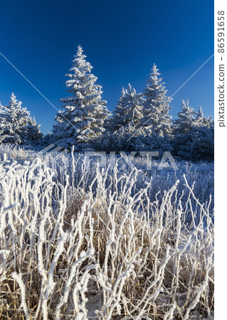 Winter landscape near Velka Destna, Orlicke mountains, Eastern Bohemia, Czech Republic Winter landscape near Velka Destna, Orlicke mountains, Eastern Bohemia, Czech Republic 86591658