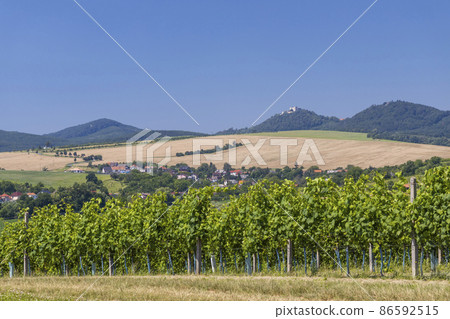 Landscape with vineyards and Buchlov castle, Slovacko, Southern Moravia, Czech Republic 86592515
