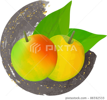 李子果實的水彩插圖 86592533