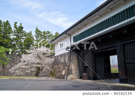 春天櫻田門和櫻花 86592534