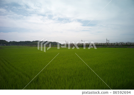 Scenery of Motosakura Scenery of Motosakura 86592694