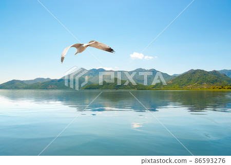 Skadar lake Montenegro 86593276