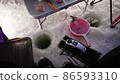 Smelt on ice 86593310