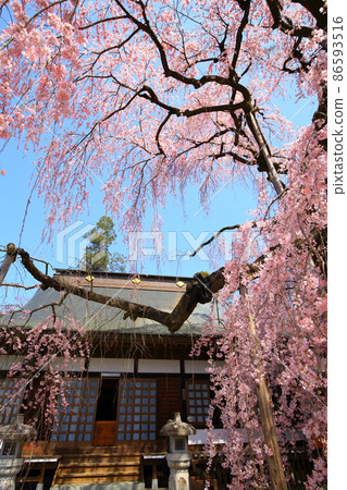 (Yamanashi Pref.) (Yamanashi Pref.) 86593516