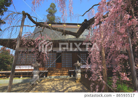 (Yamanashi Pref.) (Yamanashi Pref.) 86593517