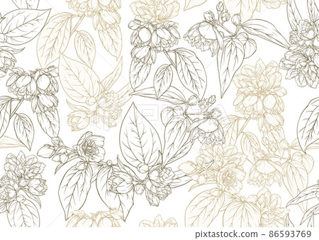 Jasmine Seamless pattern, background. Vector illustration. 86593769