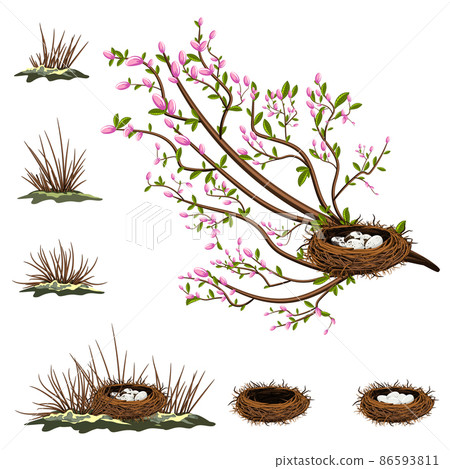 Vector image isolated on white background. A bird's nest in the branches of a bush or tree. Concept. Collection. Set. EPS 10 86593811