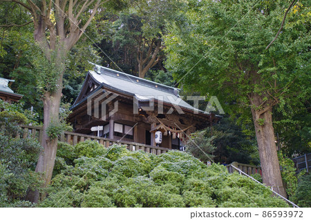 [橫須賀市] 橋水神社 86593972