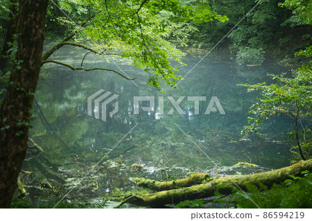 Aomori Prefecture Lake in the forest Unexplored region Aomori Prefecture Lake in the forest Unexplored region 86594219