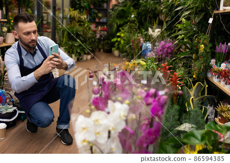 flower shop manager filming a potted plant on a smartphone flower shop manager filming a potted plant on a smartphone 86594385