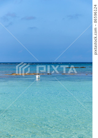 Blue sky, blue sea and white birds (Amami Islands, Kagoshima Prefecture, Okinoerabujima) 86596124