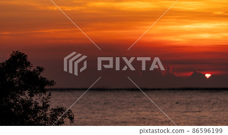 Silhouette tree on blur background of red and orange sunset sky over the tropical sea. Red sunset sky. Skyline at the sea. Tropical sea in summer. Scenic view of sunset sky. Calm ocean. Seascape. Silhouette tree on blur background of red and orange sunset sky over the tropical sea. Red sunset sky. Skyline at the sea. Tropical sea in summer. Scenic view of sunset sky. Calm ocean. Seascape. 86596199