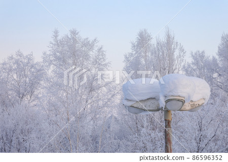 [Kamifurano-cho, Hokkaido] Rime and street lights 86596352