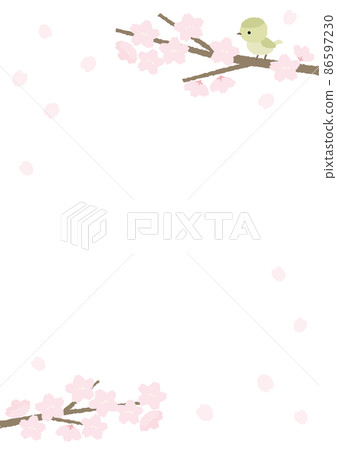 Illustration background of Japanese bush warbler and cherry blossoms 86597230
