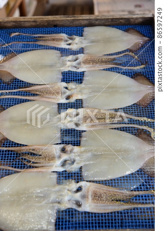 Overnight dried squid Overnight dried squid 86597249
