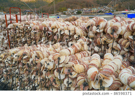 Scenery of scallop shells for seeding and insect fishing port 1 Setouchi City, Okayama Prefecture 86598371