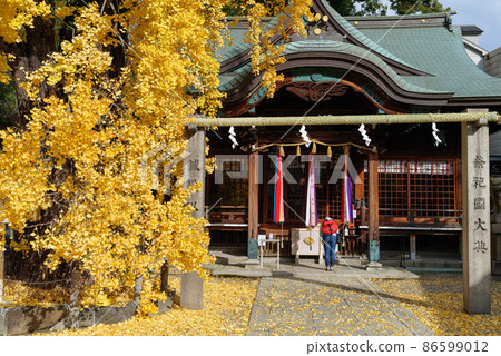 2021年12月8日拍攝的銀杏市城東區中濱白山神社 2021年12月8日拍攝的銀杏市城東區中濱白山神社 86599012