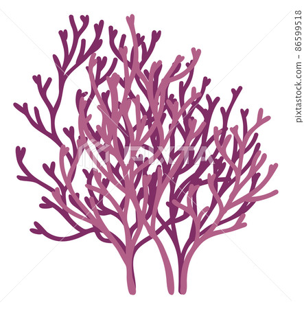 Red coral branch. Ocean reef plant. Wild sea flora Red coral branch. Ocean reef plant. Wild sea flora 86599518
