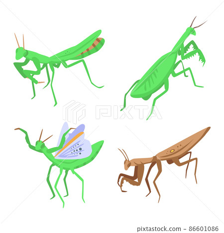 Mantis icons set, isometric style Mantis icons set, isometric style 86601086