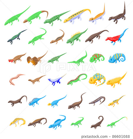 Lizard icons set, isometric style Lizard icons set, isometric style 86601088