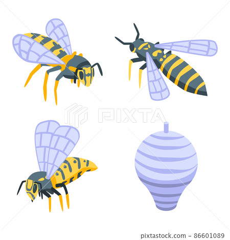 Wasp icons set, isometric style 86601089