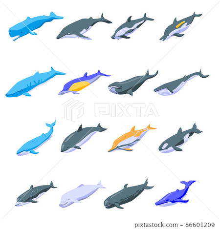 Whale icons set, isometric style Whale icons set, isometric style 86601209