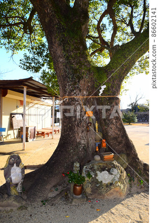 洲本城續日本100座精美城堡 洲本城續日本100座精美城堡 86602141