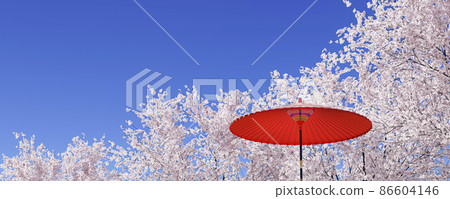 Blue sky and cherry blossoms in full bloom, landscape with red field umbrella / Symbolic image of spring in Japan / 3D rendering Blue sky and cherry blossoms in full bloom, landscape with red field umbrella / Symbolic image of spring in Japan / 3D rendering 86604146