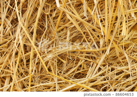 Dry straw texture for background and design art work, bales of cereal straw for cow and horse. Dry straw texture for background and design art work, bales of cereal straw for cow and horse. 86604653