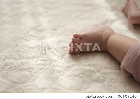 Whip whip baby feet 86605146