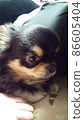 Handsome man 86605404