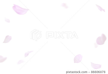 櫻花櫻花花瓣插圖真實套裝 86606878
