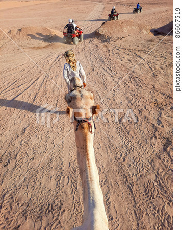 Bedouin leads a camel with a tourist in the desert Bedouin leads a camel with a tourist in the desert 86607519