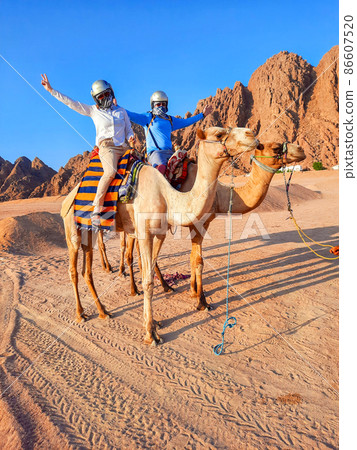 tourists in egypt riding camels. a girl and a man in the desert on an excursion 86607520