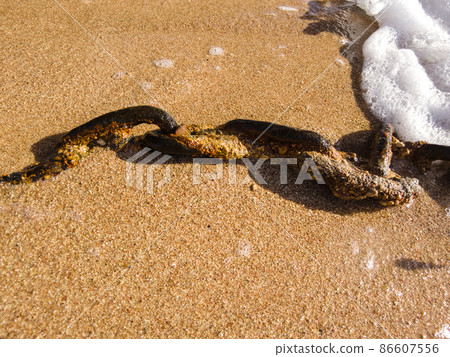 rusty chain on the beach close-up 86607556