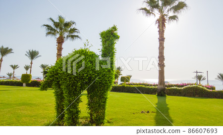 landscape design. trimmed tree with green leaves 86607693