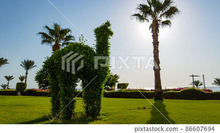 landscape design. trimmed tree with green leaves landscape design. trimmed tree with green leaves 86607694