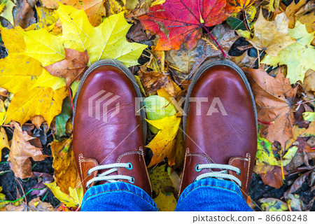 autumn boots leaves background fashion trendy style autumn boots leaves background fashion trendy style 86608248