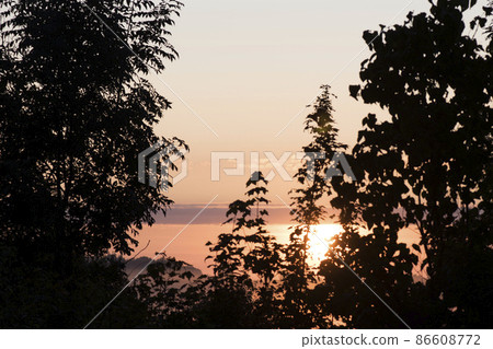 sunset over the forest. forest at dusk 86608772