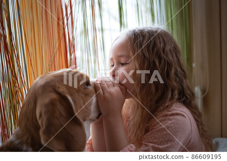 little cute girl hugs a beagle dog sitting on the windowsill 86609195