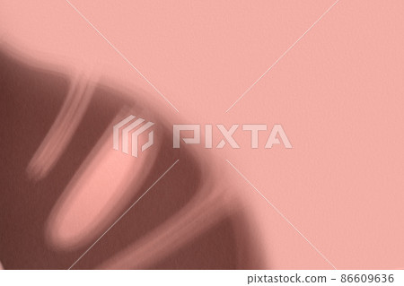 Creative copy space with tropical shadows on a soft beige wall. Top view of leaves shadows on the pink background. Flat lay style. Minimal summer concept with tree leaf Creative copy space with tropical shadows on a soft beige wall. Top view of leaves shadows on the pink background. Flat lay style. Minimal summer concept with tree leaf 86609636