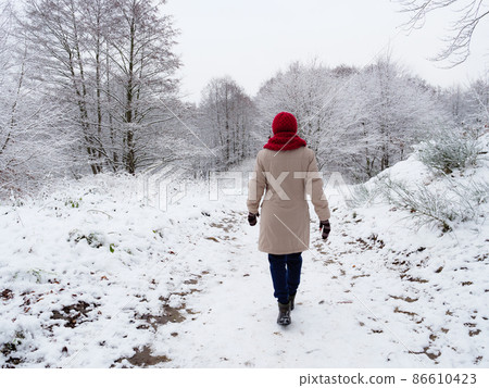 Woman walk in winter snow forest. Woman walk in winter snow forest. 86610423