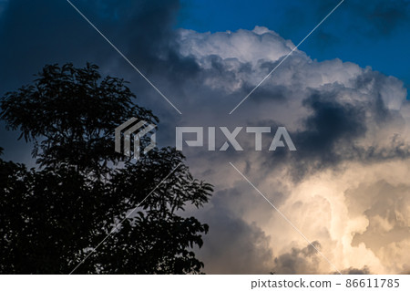 Huge clouds and tree silhouette Huge clouds and tree silhouette 86611785