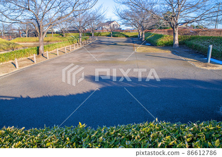 Midwinter Nanbata Castle Park, Kuruwa 3 direction, Fujimi City Midwinter Nanbata Castle Park, Kuruwa 3 direction, Fujimi City 86612786