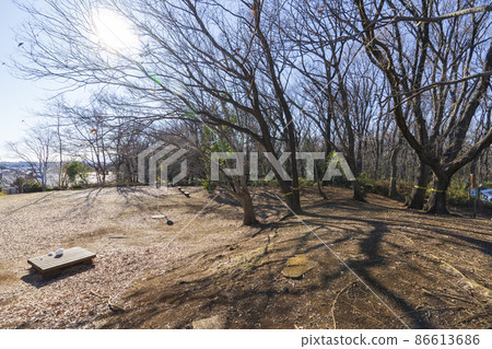 [東村山市]冬天的八國山公園 86613686